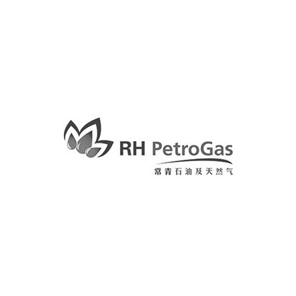 Demo Logo