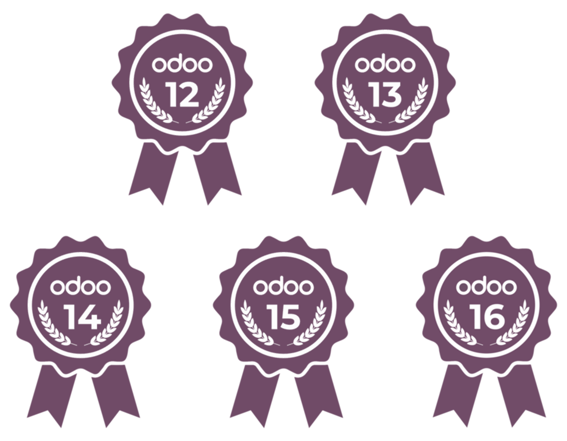 Odoo Training - Trainer